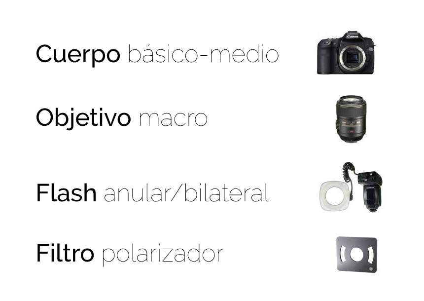 componentes-dentalize-cast